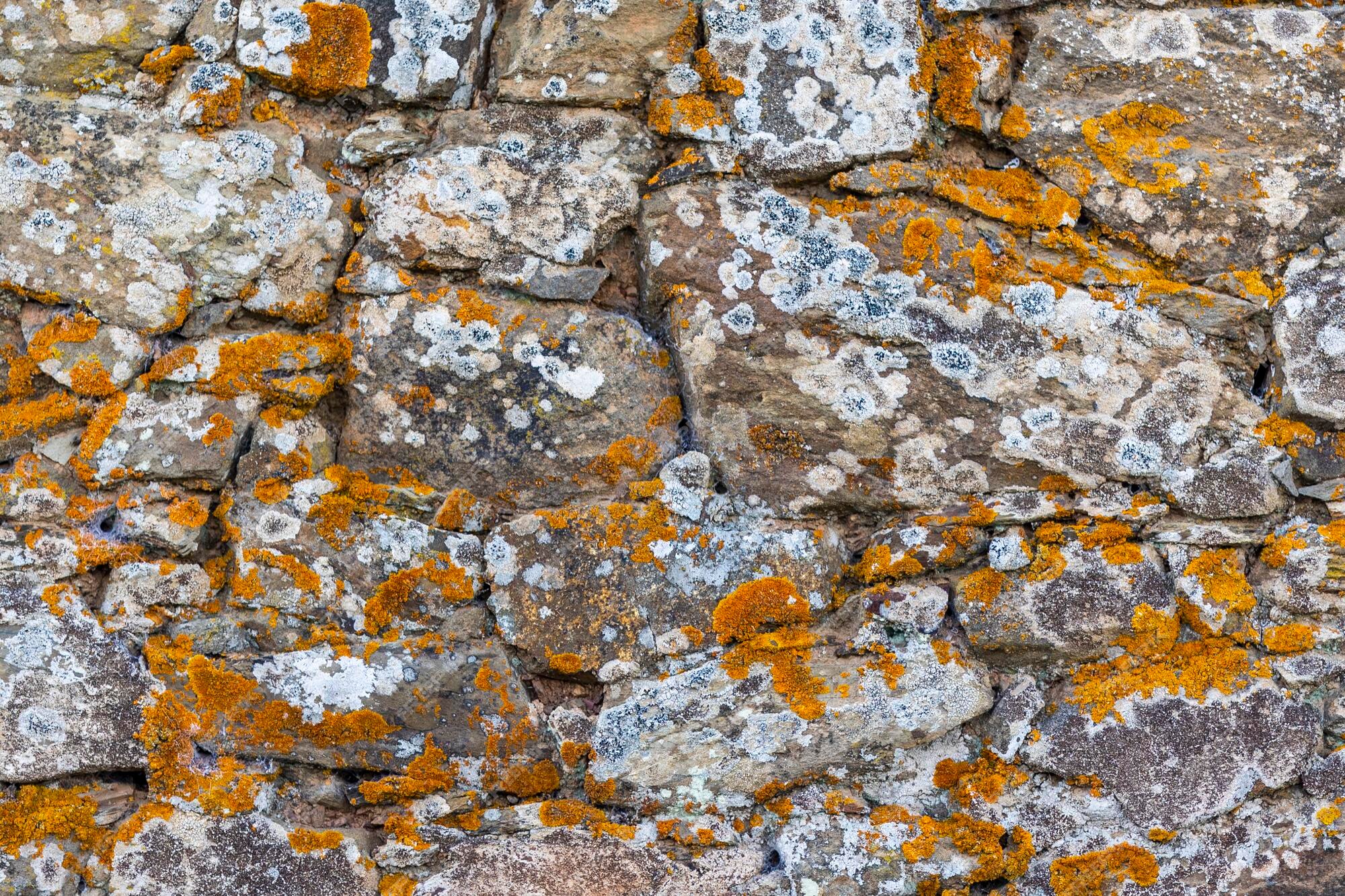 Construcao de muro em pedra rustica Algarve.avi 