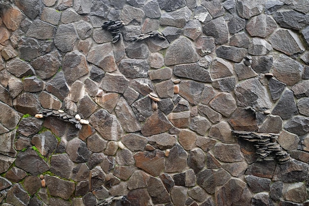 Muro de pedra muro de pedra selvagem fundo de pedra