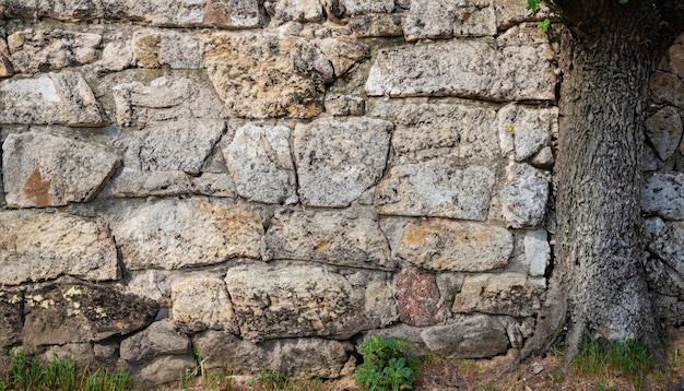 Muro de pedra velho natural com rachado