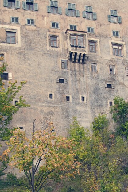 Muro de la fortaleza del castillo con ventanas y plantas verdes