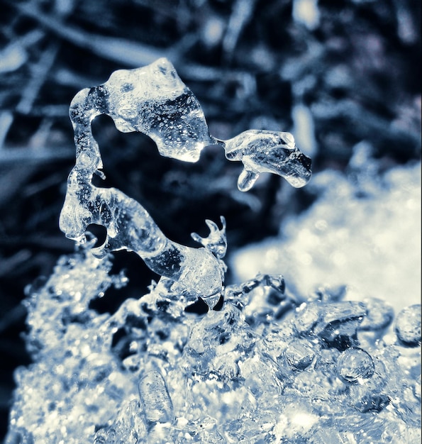 Muro de hielo caprichoso Escultura natural de hielo Encontrado en la naturaleza Escultura natural Escultura de hielo de la naturaleza Escultura hecha de hielo