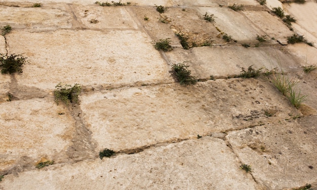 Muro pavimentado con piedras de grunge y hierba que crece entre ellos. Fragmento de primer plano