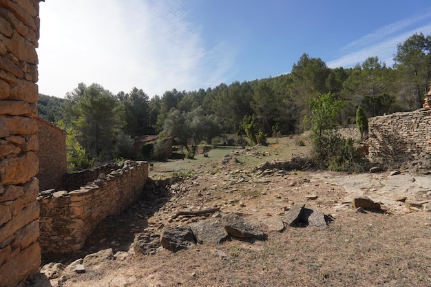 Un muro de piedra en el bosque con un río al fondo