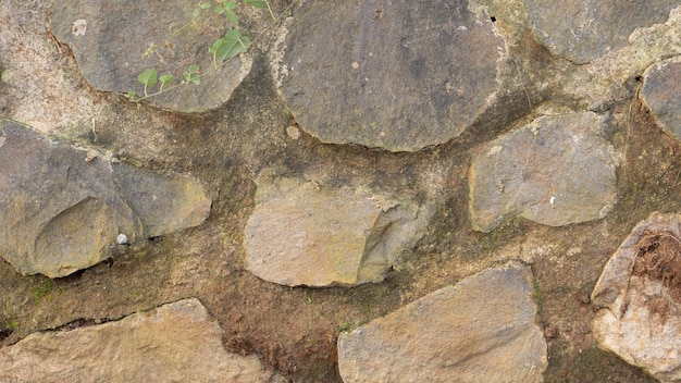 Muro de piedra Cemento Textura Antecedentes