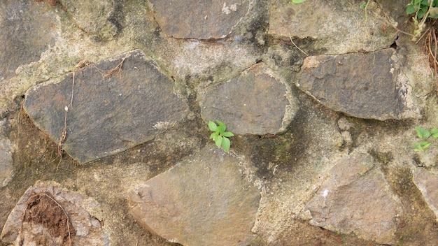 Muro de piedra Cemento Textura Antecedentes