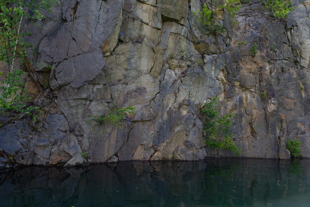 Un muro de piedra cerca del agua Los árboles crecen a través de la piedra