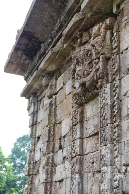 Un muro de piedra con un dragón en él