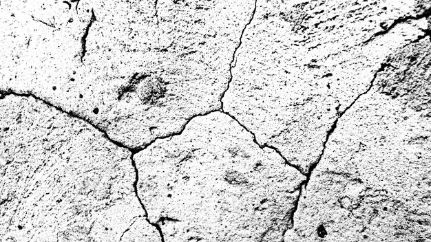 Muro de piedra con una grieta. textura en blanco y negro para el diseño