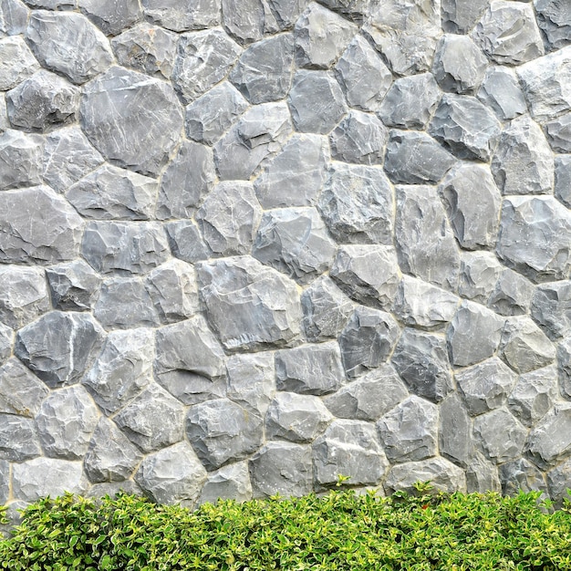 Muro de piedra gris y árbol verde para el fondo