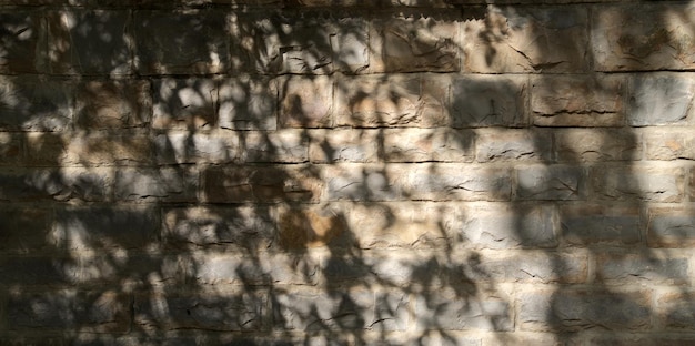 Muro de piedra natural con sombras de ramas de árboles en un día soleado