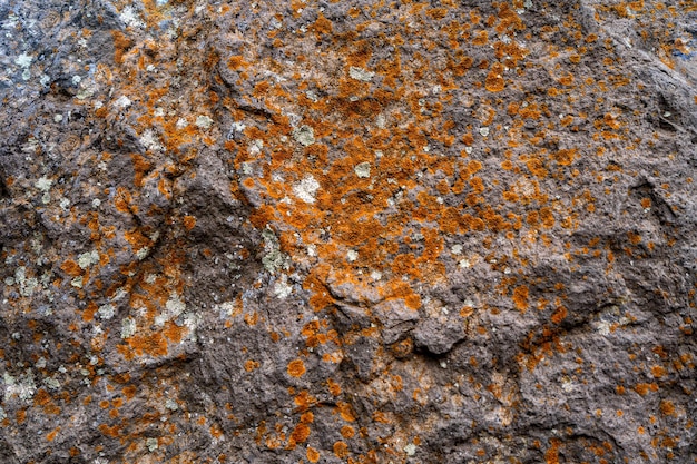 Muro de piedra con patrón abstracto bajo la luz del sol