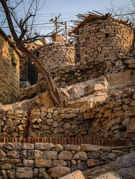 Un muro de piedra del que crece un árbol