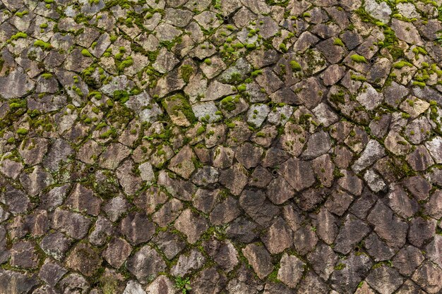 Muro de piedra de roca