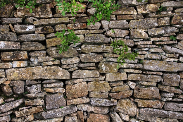 muro de piedra tradicional en campo portugués