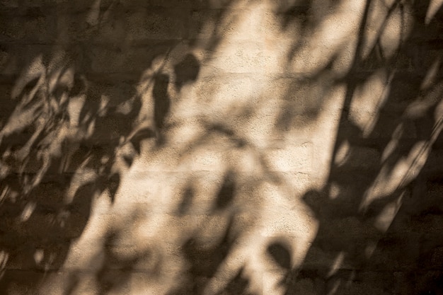 Foto muro con sombras y destellos de luz.