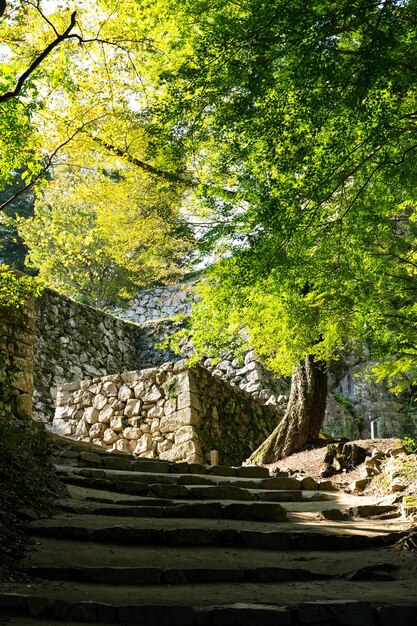 Muros del castillo de Bitchu Matsuyama