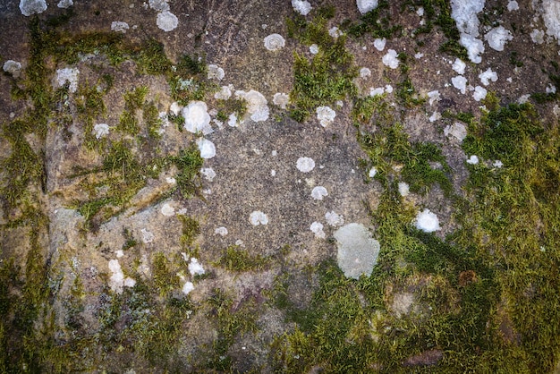 Muros de piedra fondo de piedra