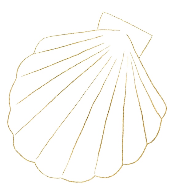 Muschel aus goldenen Umrissen einzelne Elemente für Strandhochzeit Illustrationscliparts