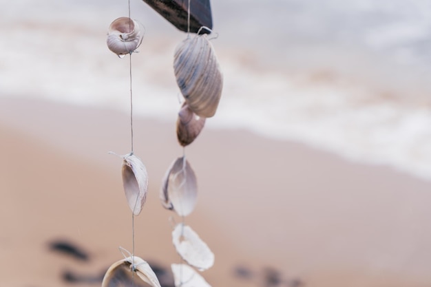 Muscheldekoration am Meer