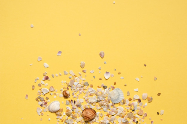 Muschelmuster auf gelbem Papierhintergrund Sommerkonzept Flache Ansicht von oben Bild