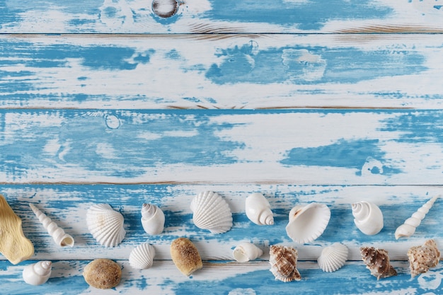 Muscheln auf blauem Holzbrett