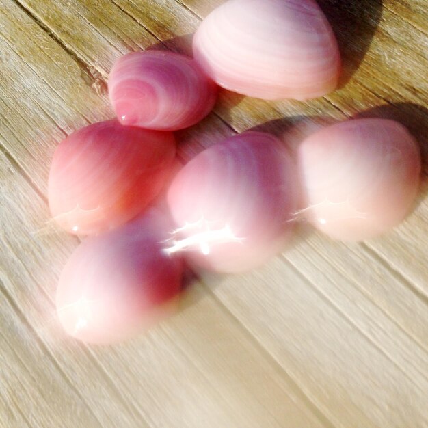 Foto muscheln auf dem tisch