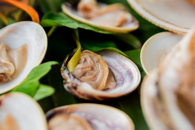 Muscheln auf der Schüssel mit dem Palmblatt.