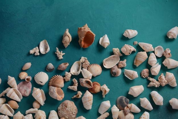 Muscheln auf einem Meereswellen-Farbhintergrund. Sommerferienkonzept. Platz für den Text.