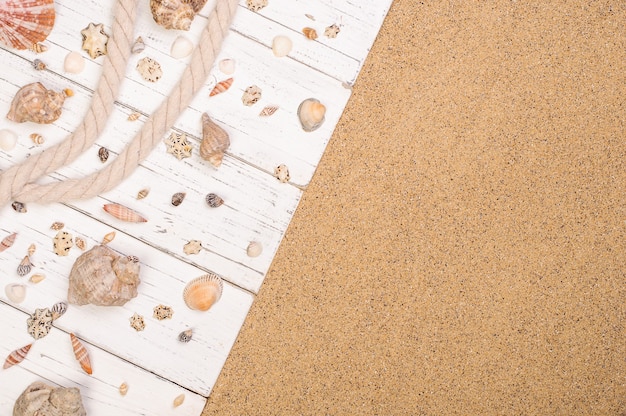 Muscheln auf weißen Holzplanken im Sand