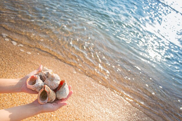 Muscheln in den Händen auf dem Hintergrund des Meeres