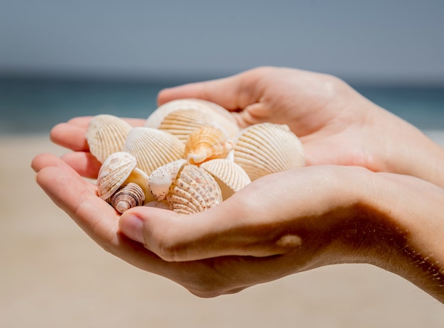 Muscheln mit Fischernetz und Hut