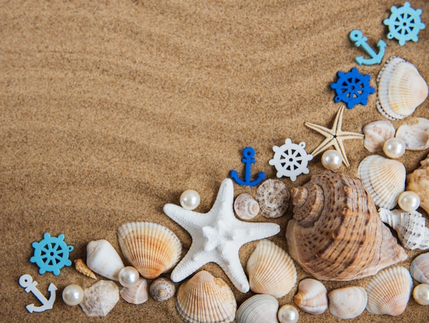 Muscheln mit Sand als Hintergrund