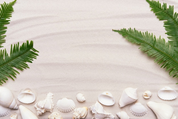 Muscheln mit weißem Sand. Tropischer Hintergrund