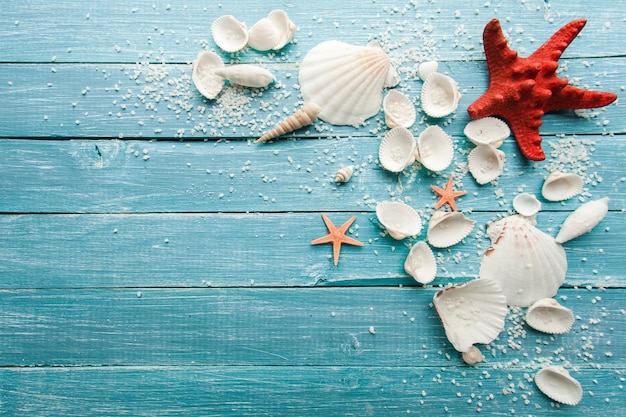 Foto muscheln, sand und sterne auf einer blauen holzoberfläche