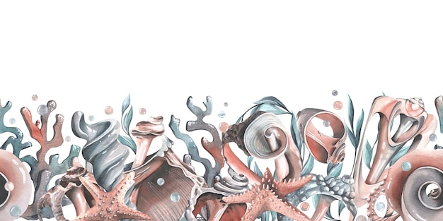 Muscheln, Seesterne, Blasen, Algen und Korallen, türkisfarbene Aquarell-Illustration, handgezeichnet, nahtloser Rand auf weißem Hintergrund