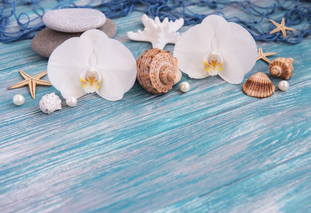 Muscheln, Seesterne und Orchideen