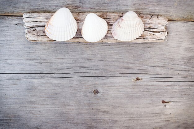 Foto muscheln und altes holz auf holztisch