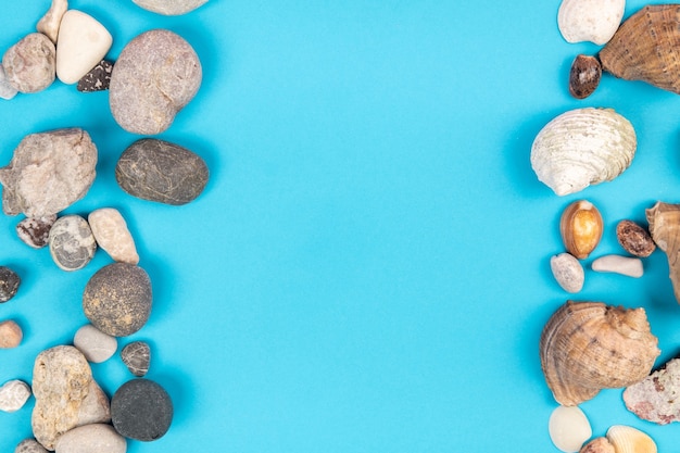 Muscheln und Felsen auf blauem Hintergrund.Marinethema