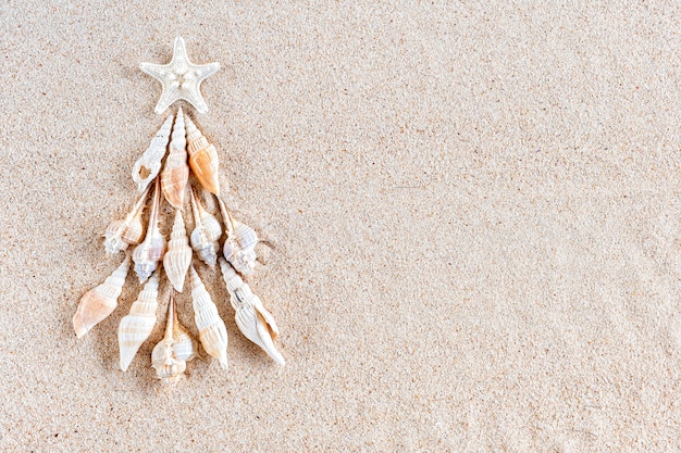 Muscheln und Sternfisch-Weihnachtsbaum auf klarem Sand