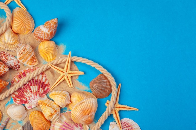 Muscheln verschiedener Art auf einem blauen