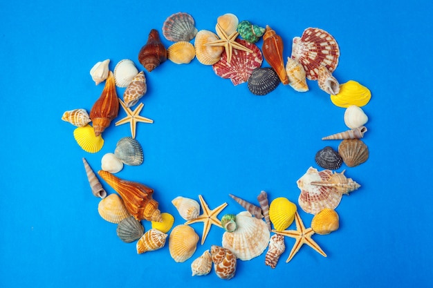 Muscheln verschiedener Art auf einem blauen