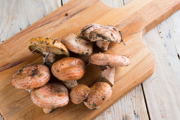 Foto muschrooms en tableta de cocina