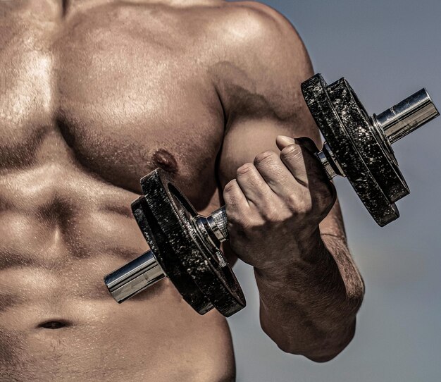 Músculos com halteres Haltere Muscular fisiculturista masculino exercícios com halteres Homem treinando com halteres