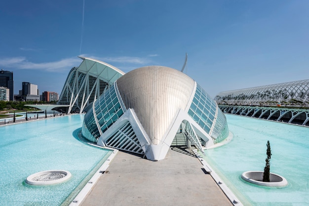 Museo de ciencias naturales en valencia, españa