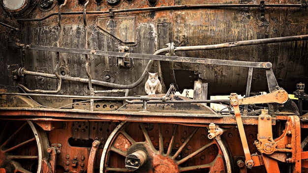 Museo de motores de vapor de Sibiu, museo de locomotoras antiguas en Sibiu, Ramania
