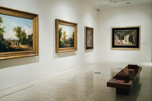 Museo Nacional de San Carlos, en la ciudad de México, México