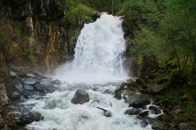 Musgo agua arroyo hojas piedras naturaleza cascada paisaje misterio árbol tronco roto helecho