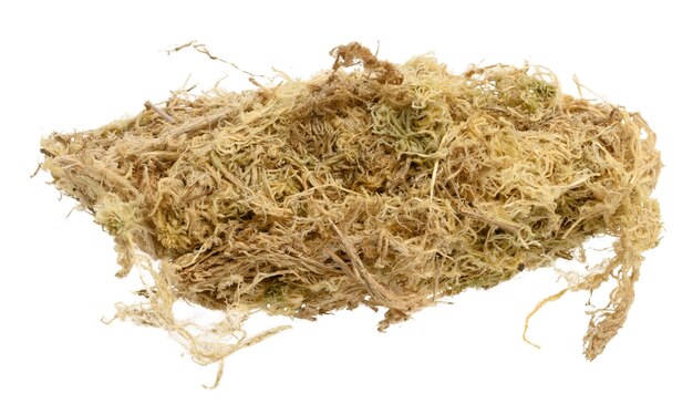 El musgo de esfagno para orquídeas en un fondo blanco aislado de cerca