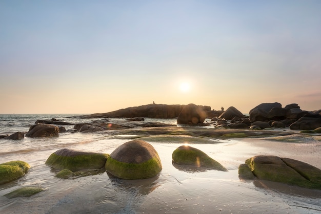 Foto musgo na rocha na praia com pôr do sol