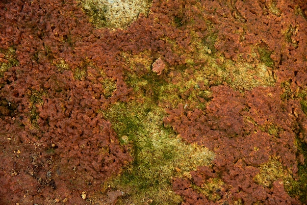 musgo verde em textura de pedra vermelha e fundo